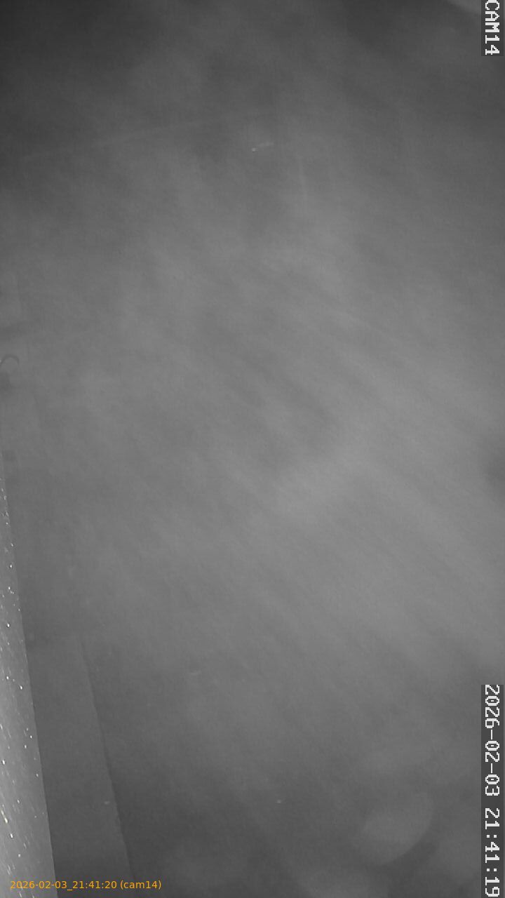 thumbnail_20260203214120