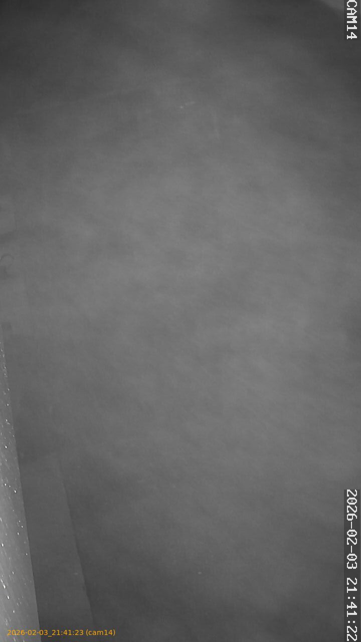 thumbnail_20260203214123