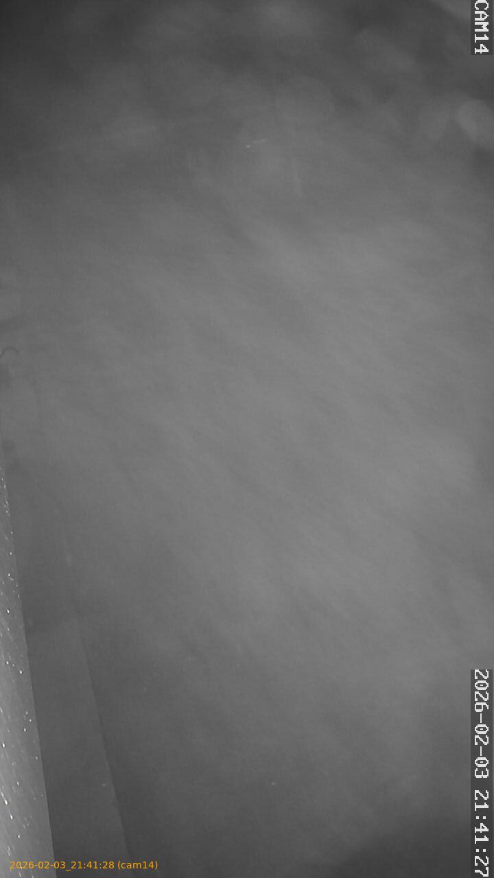 thumbnail_20260203214128