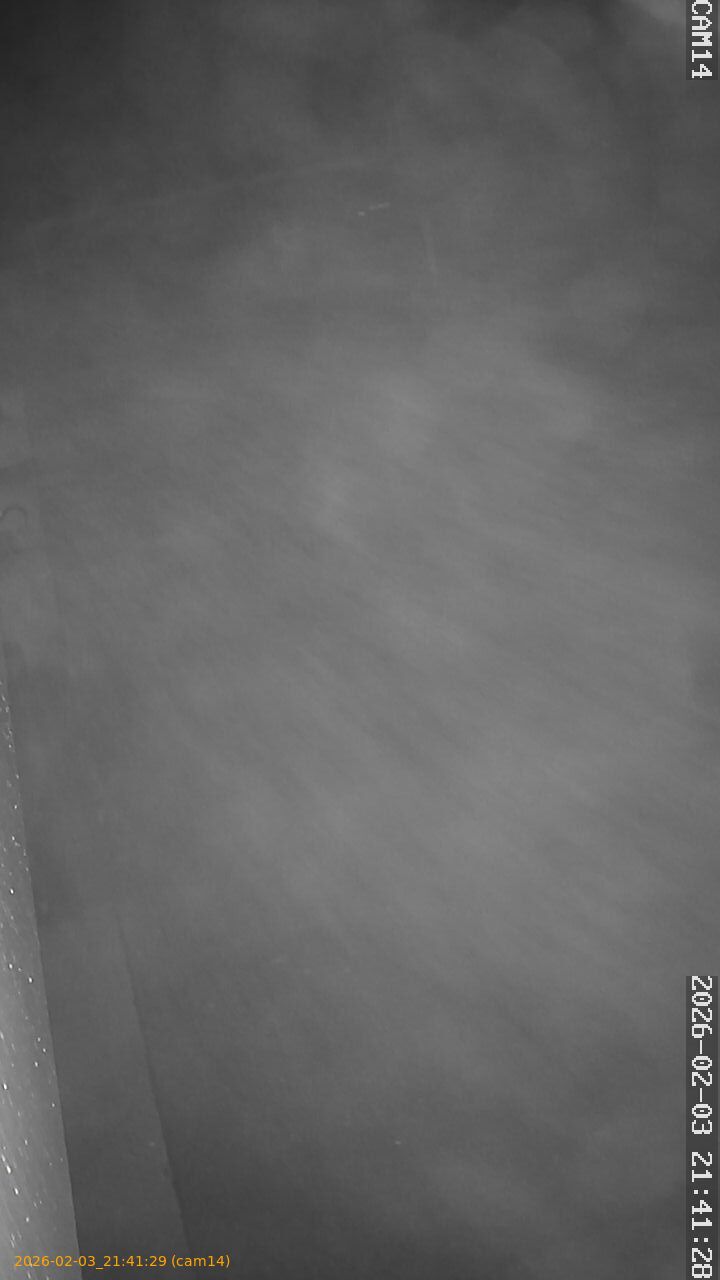 thumbnail_20260203214129