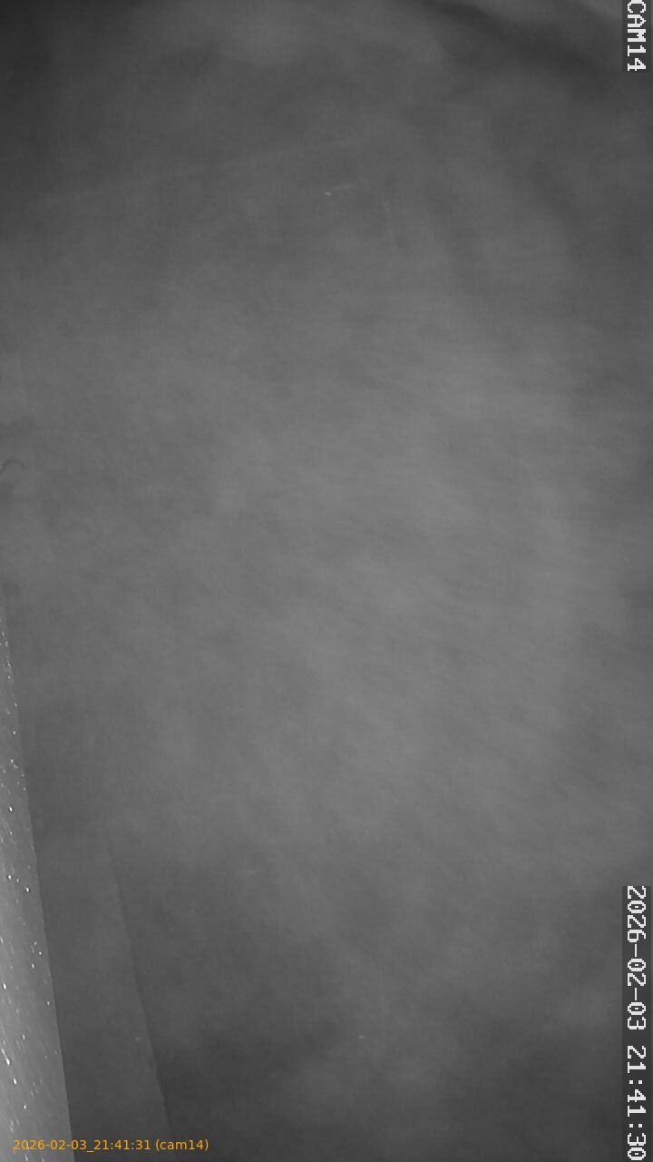 thumbnail_20260203214131