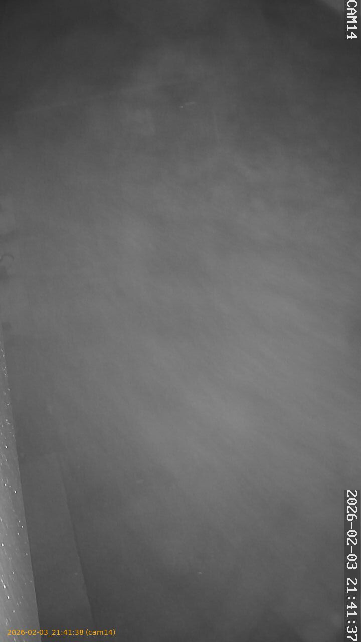 thumbnail_20260203214138