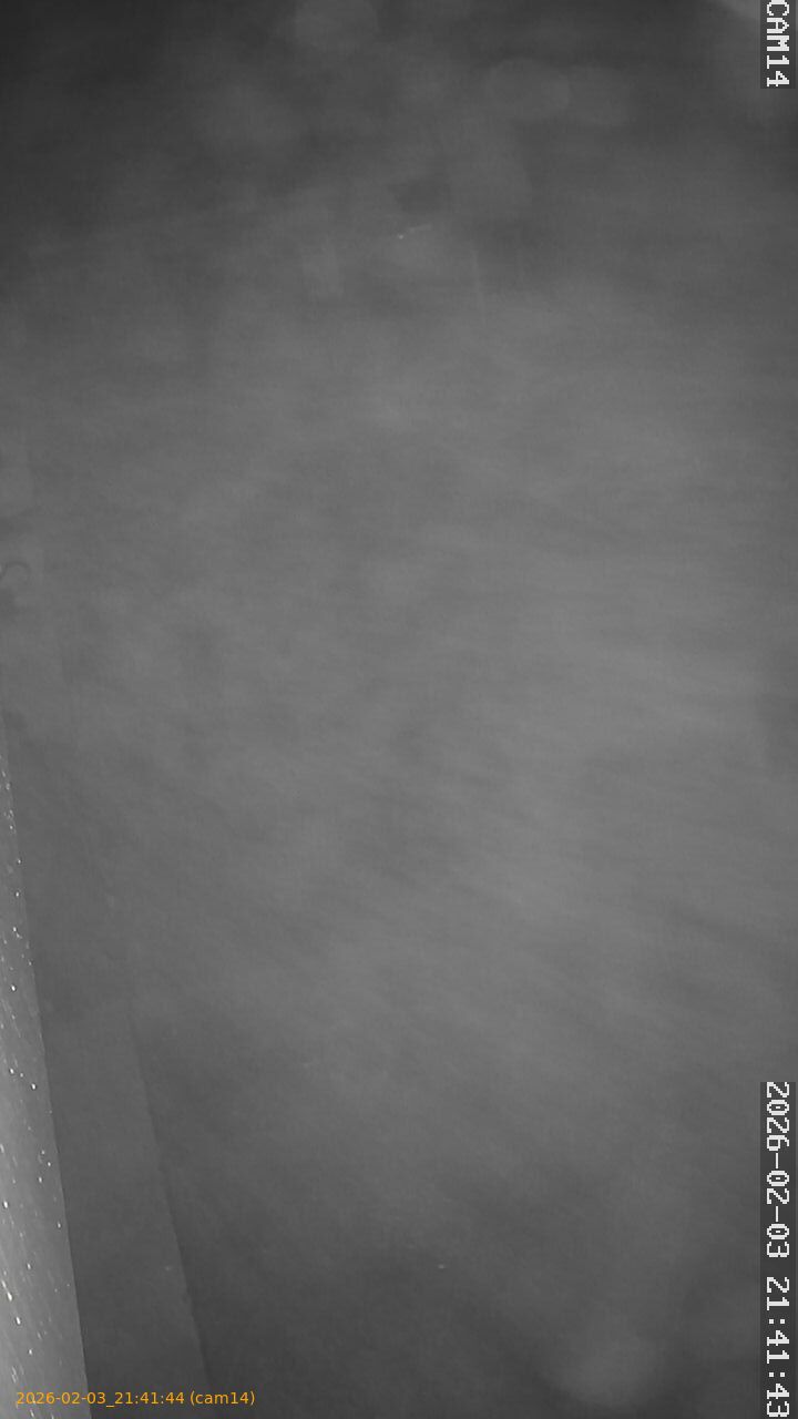 thumbnail_20260203214144