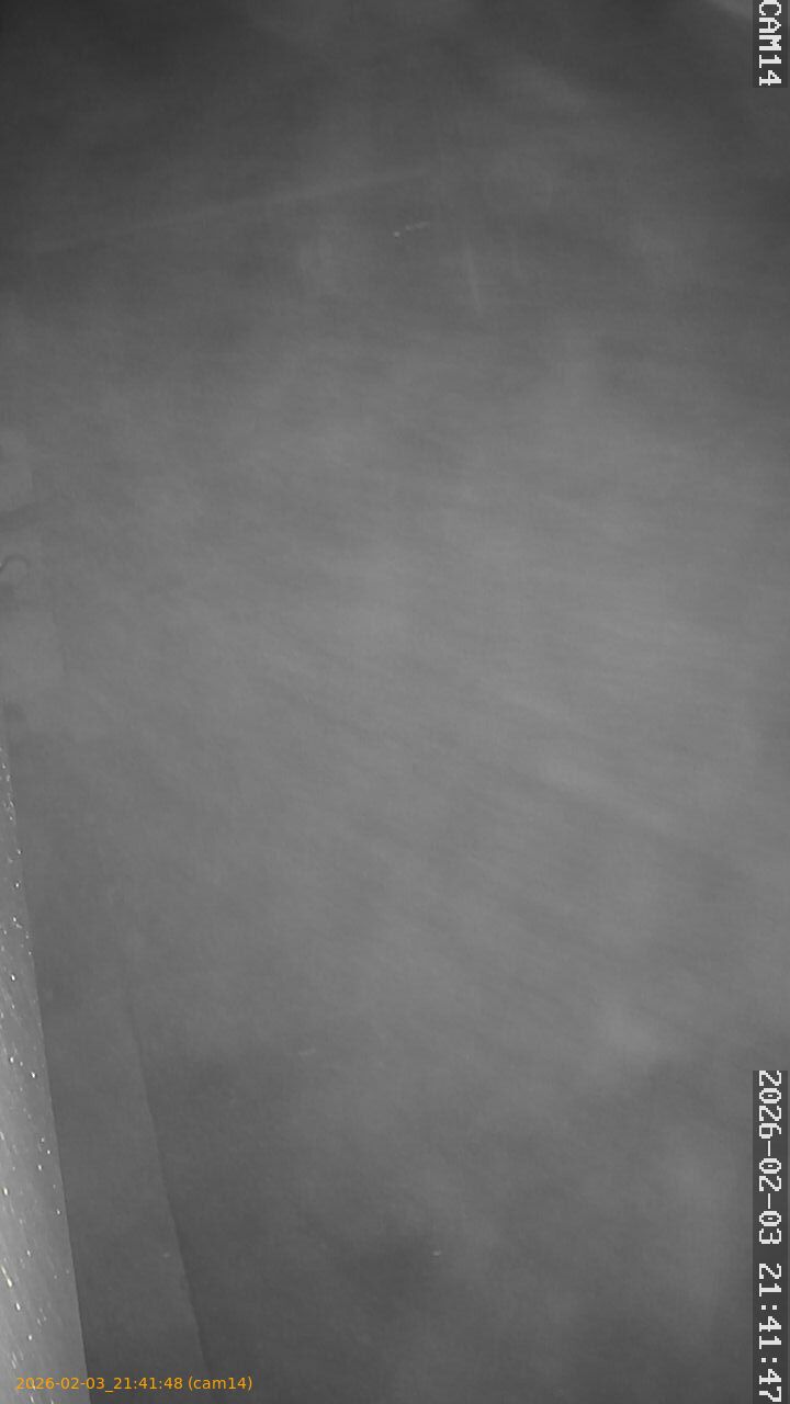 thumbnail_20260203214148