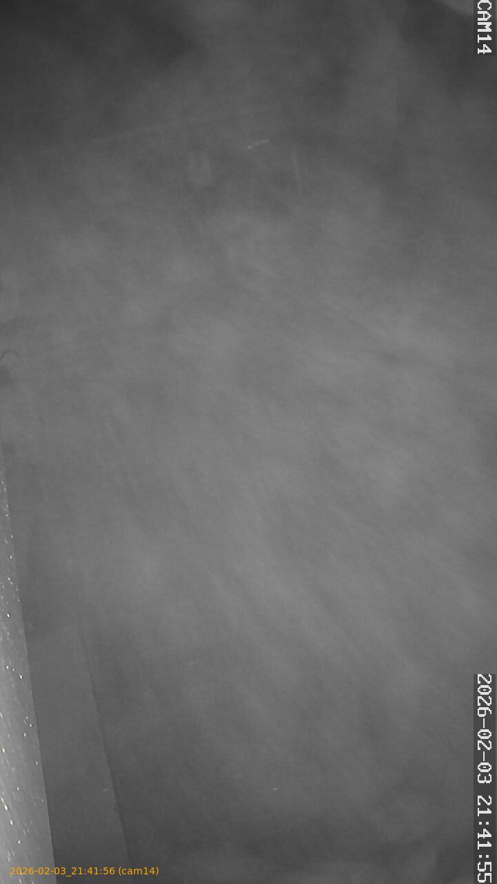 thumbnail_20260203214156