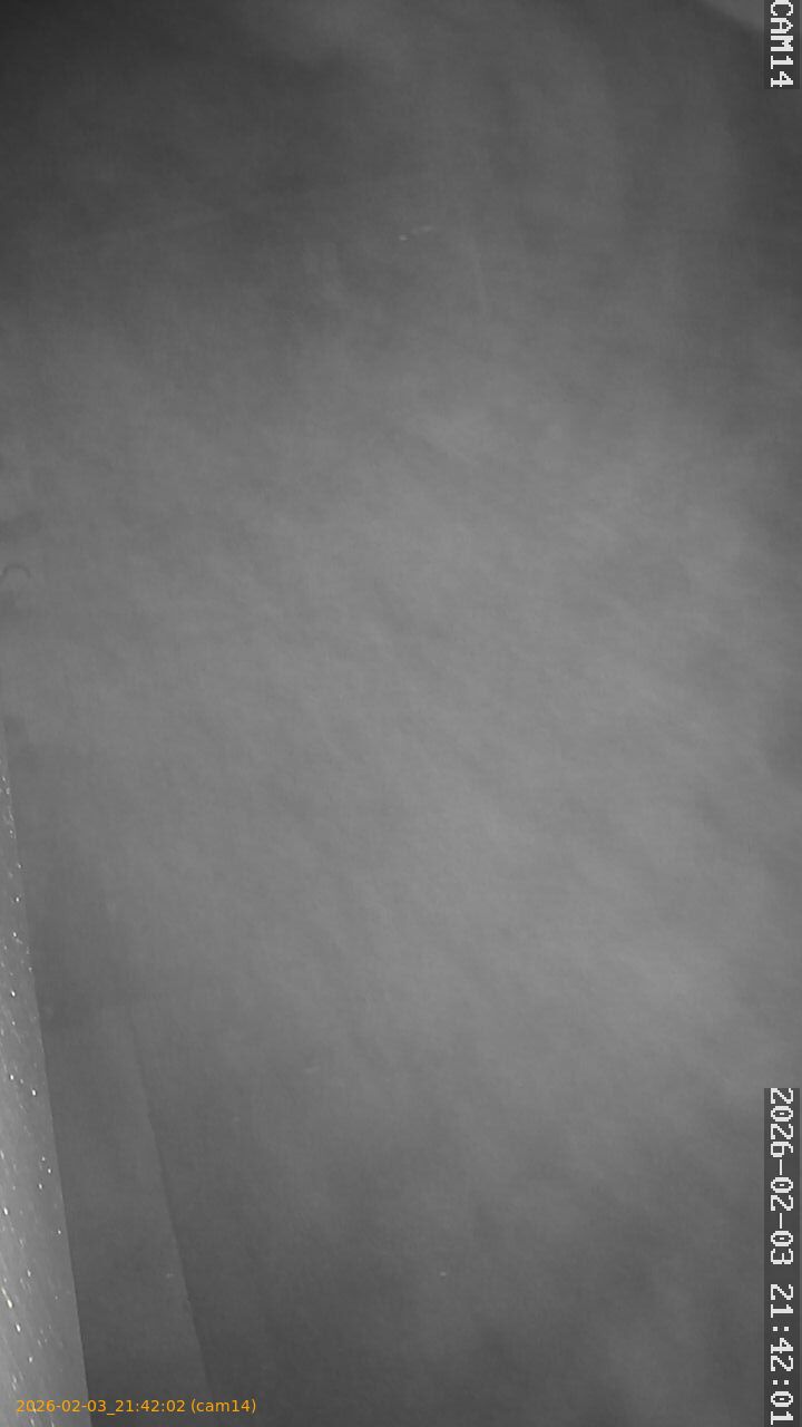 thumbnail_20260203214202