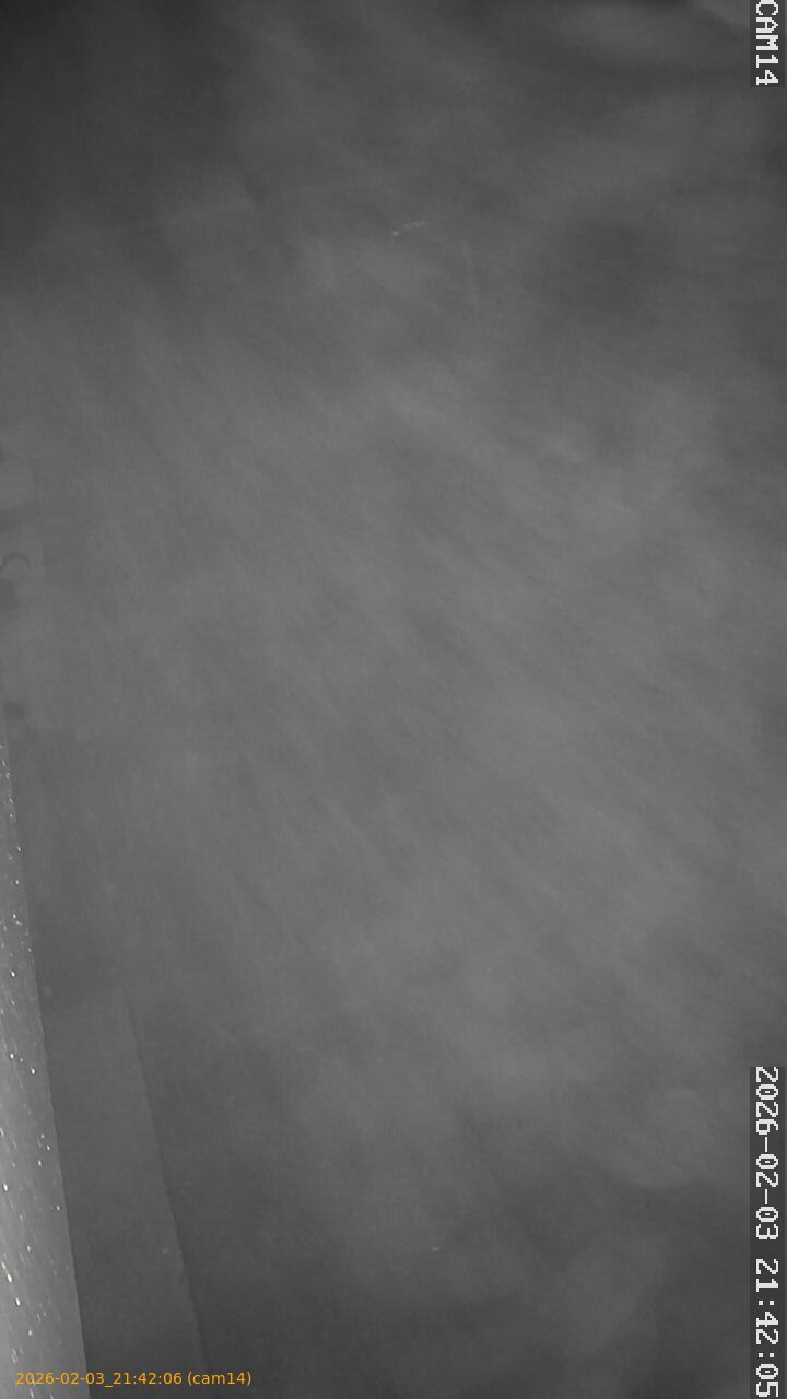 thumbnail_20260203214206