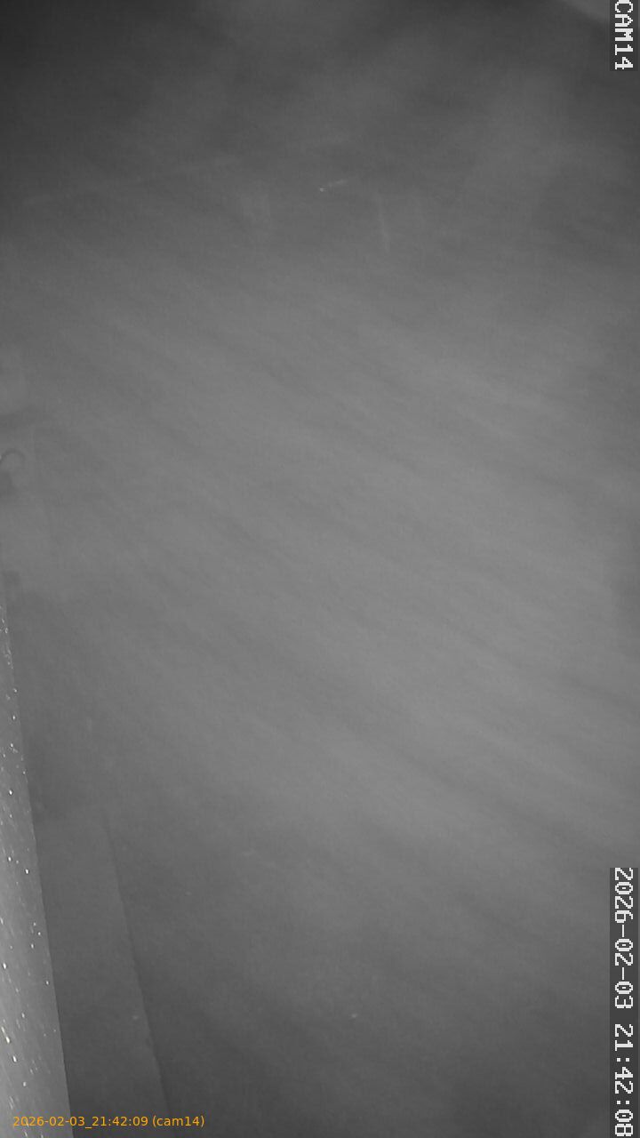 thumbnail_20260203214209