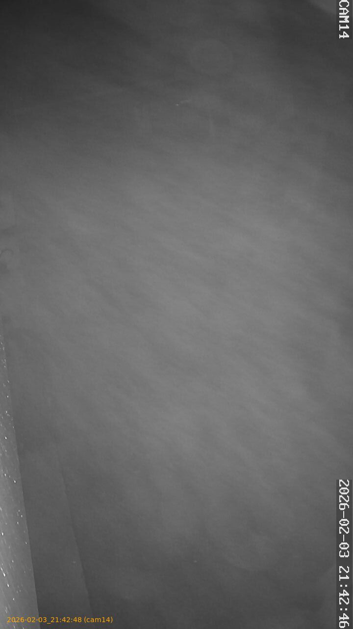 thumbnail_20260203214248