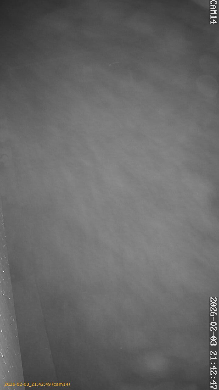 thumbnail_20260203214249