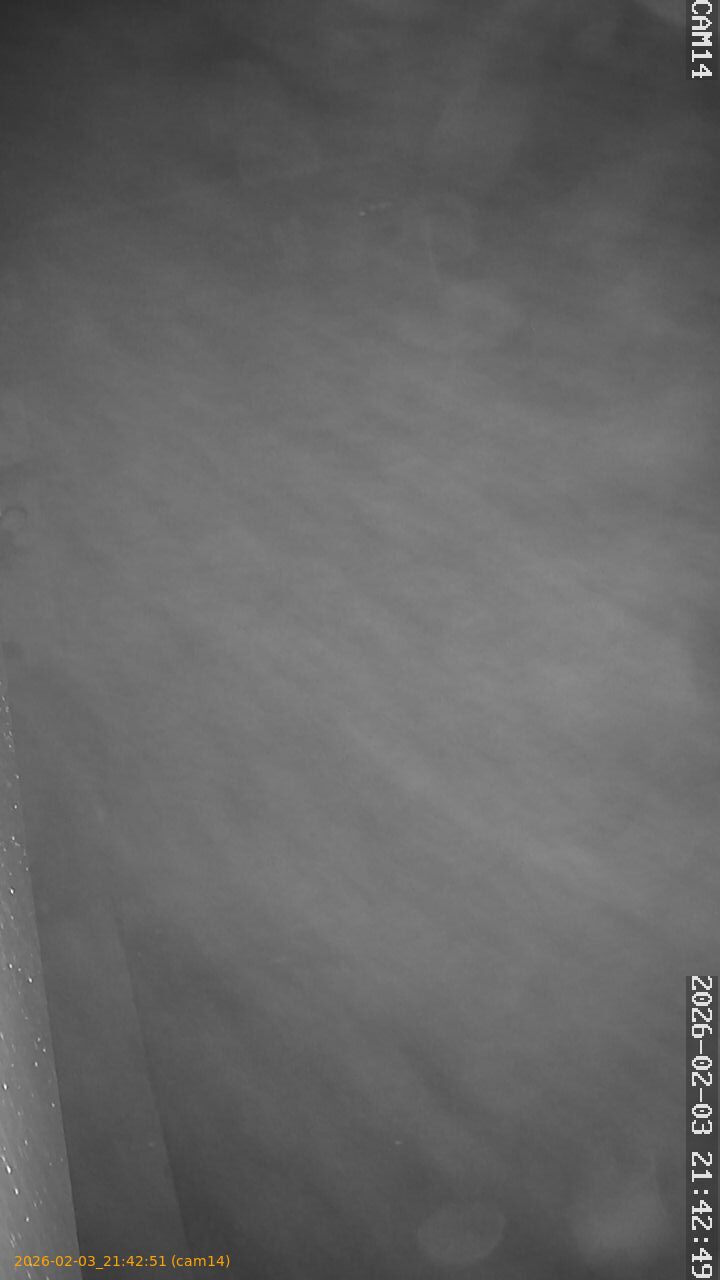 thumbnail_20260203214251