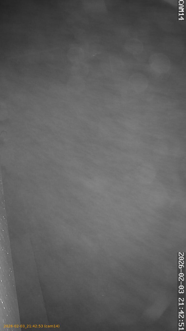 thumbnail_20260203214253