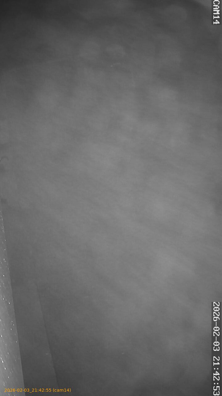 thumbnail_20260203214255