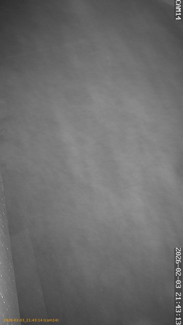 thumbnail_20260203214314