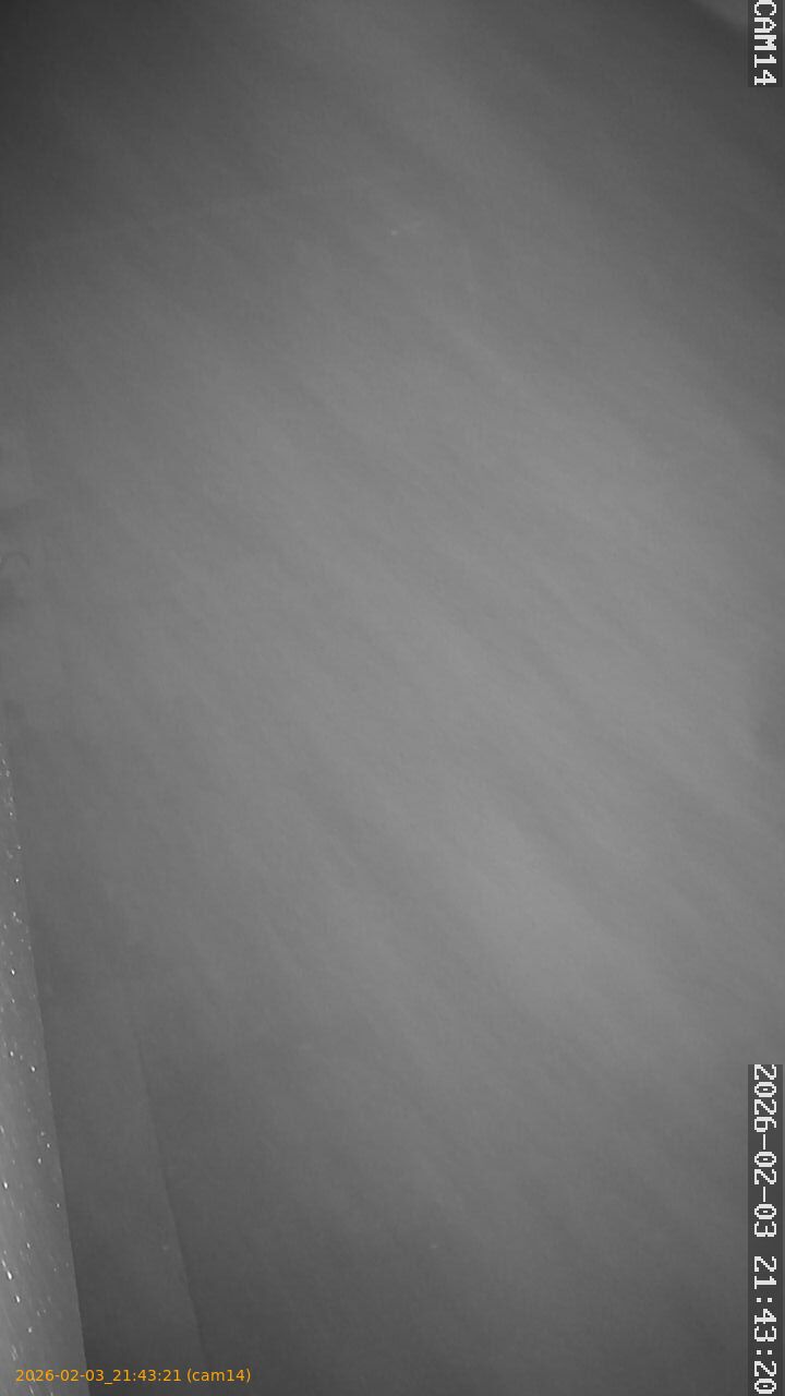 thumbnail_20260203214321