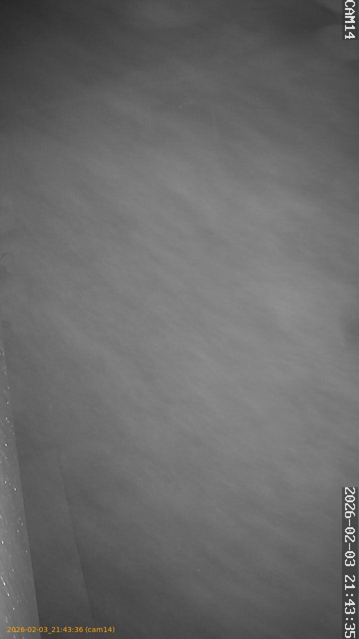 thumbnail_20260203214336