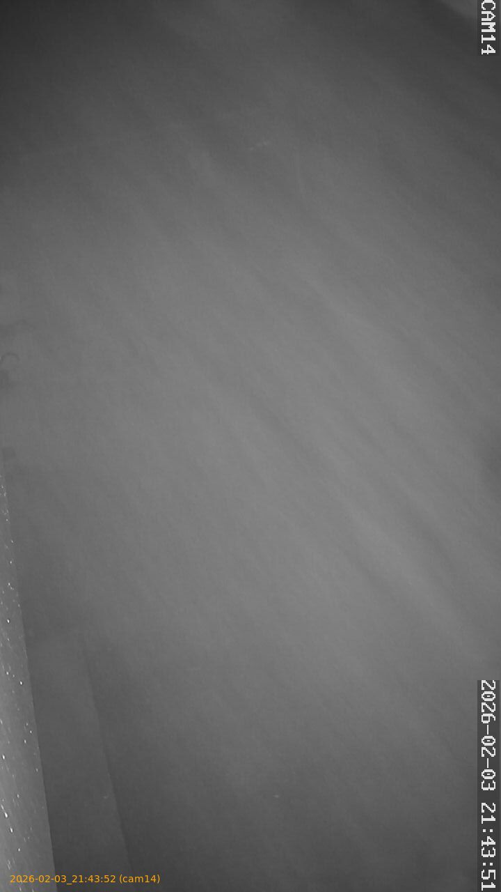 thumbnail_20260203214352