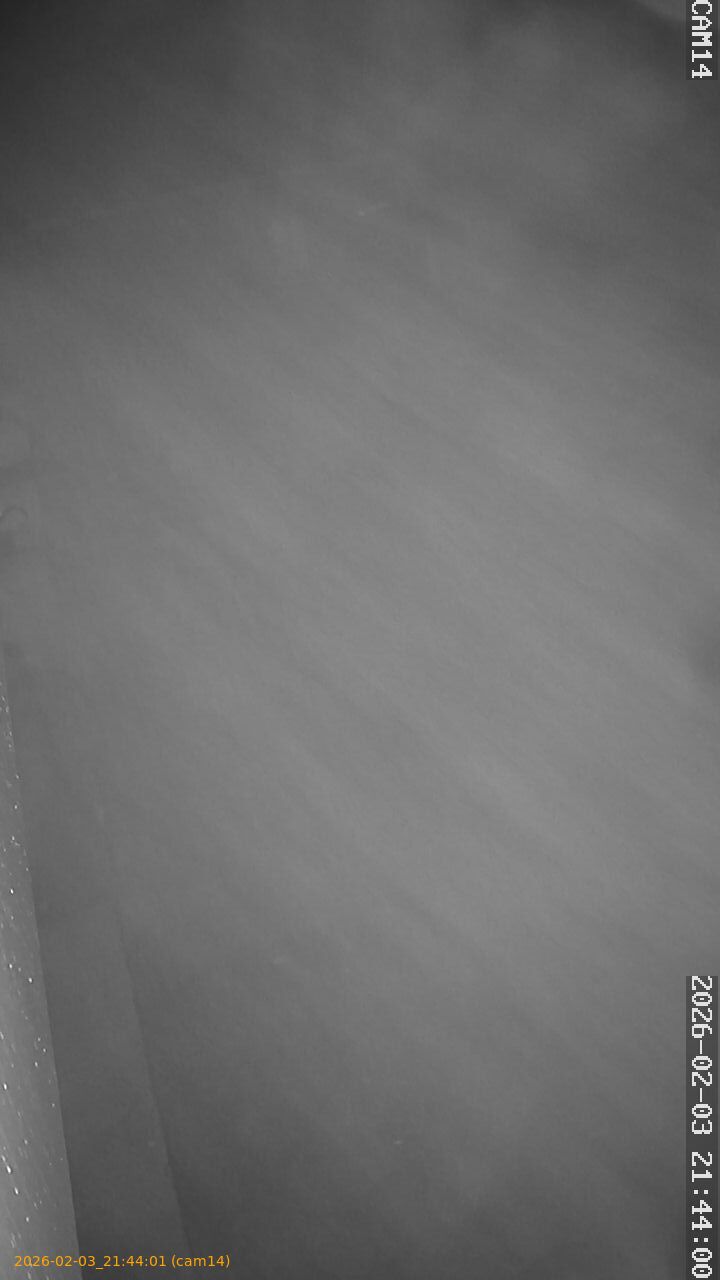 thumbnail_20260203214401