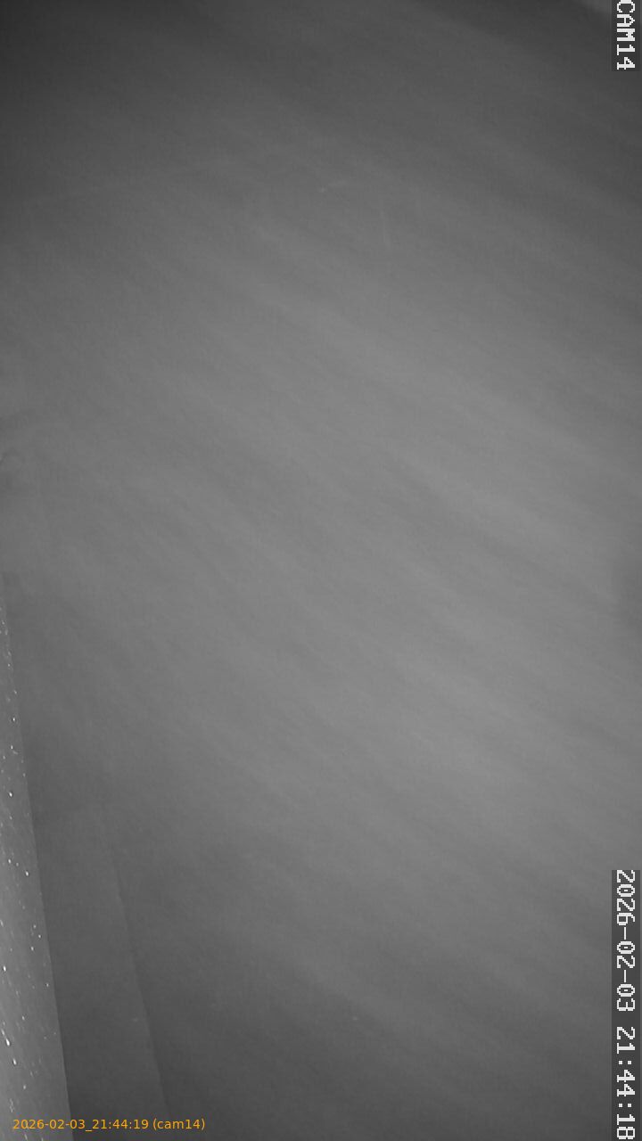 thumbnail_20260203214419