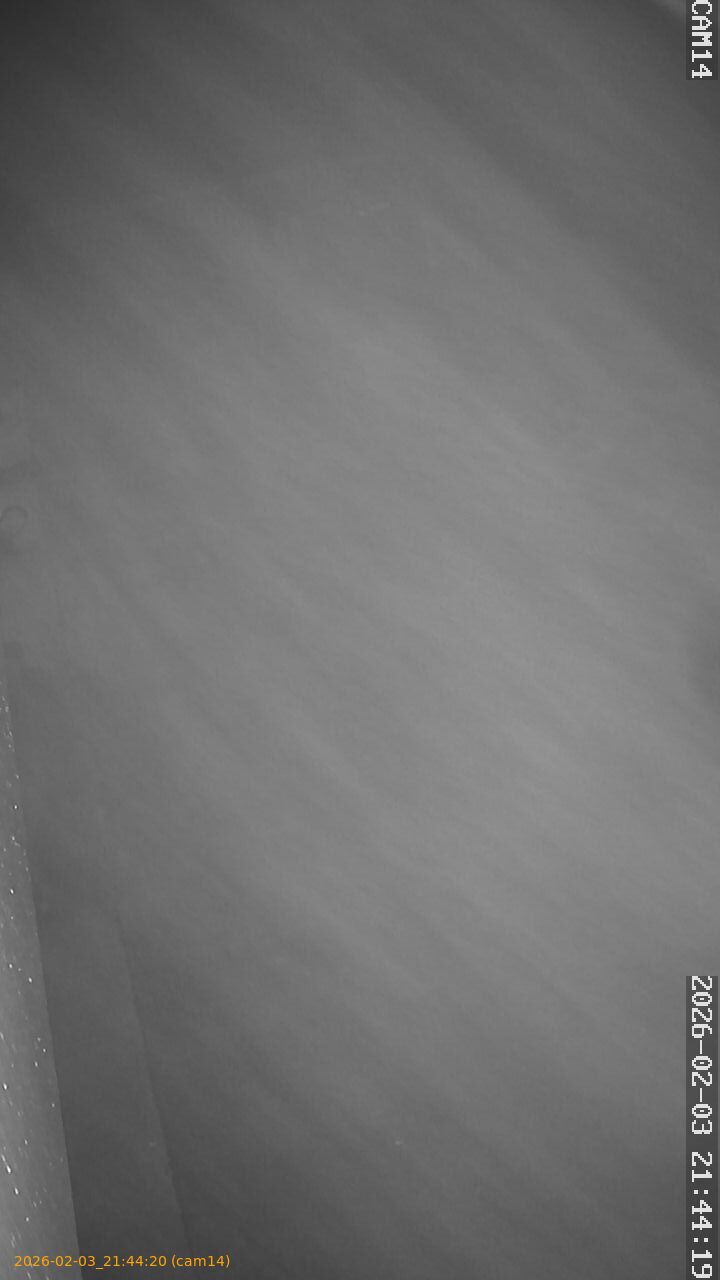 thumbnail_20260203214420