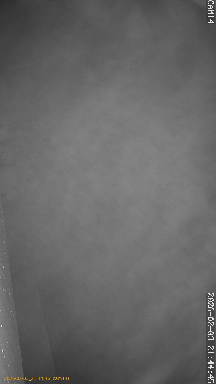 thumbnail_20260203214446