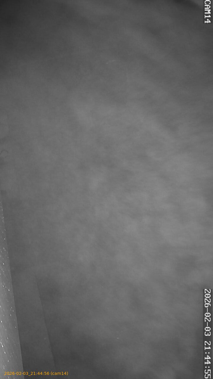 thumbnail_20260203214456