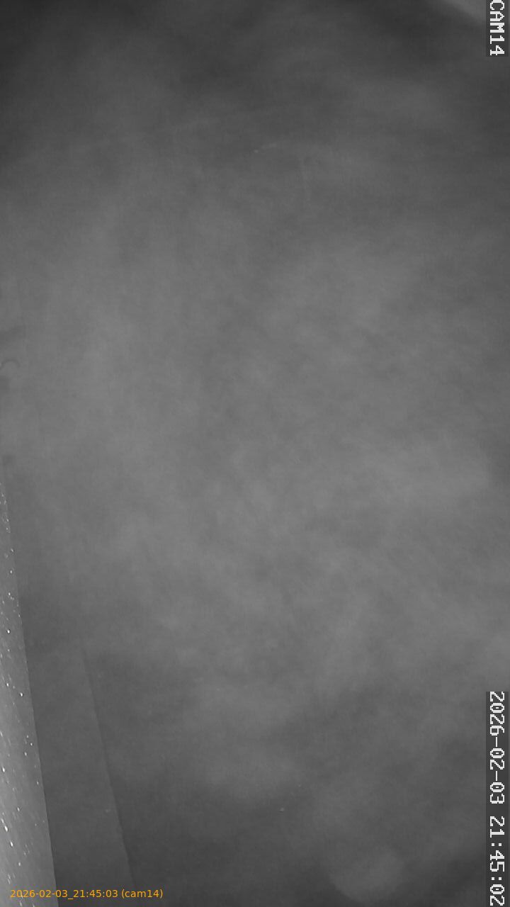 thumbnail_20260203214503