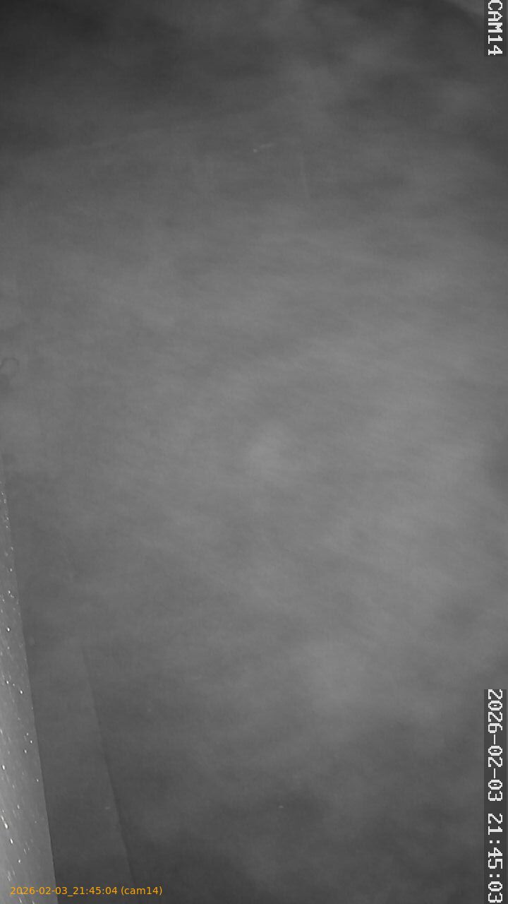 thumbnail_20260203214504