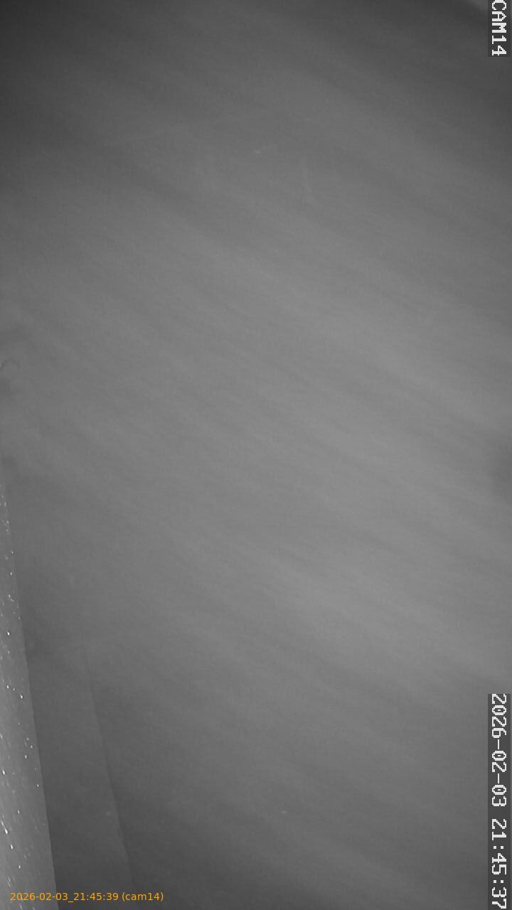 thumbnail_20260203214539