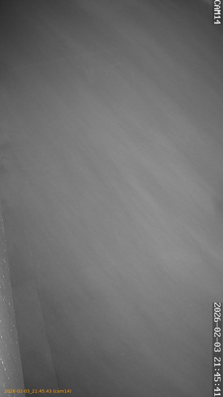 thumbnail_20260203214543