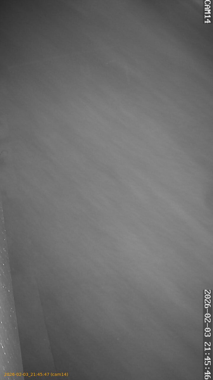 thumbnail_20260203214547