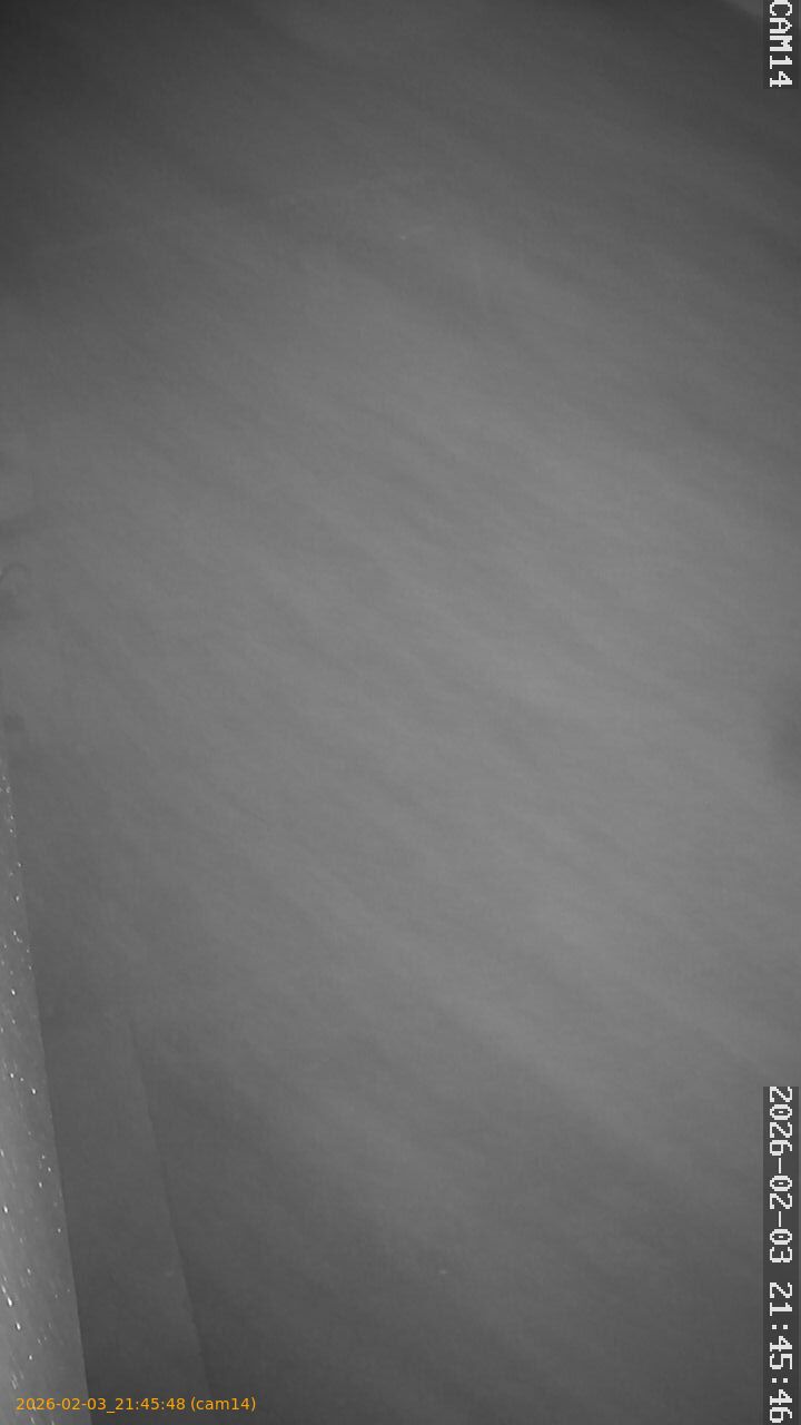 thumbnail_20260203214548