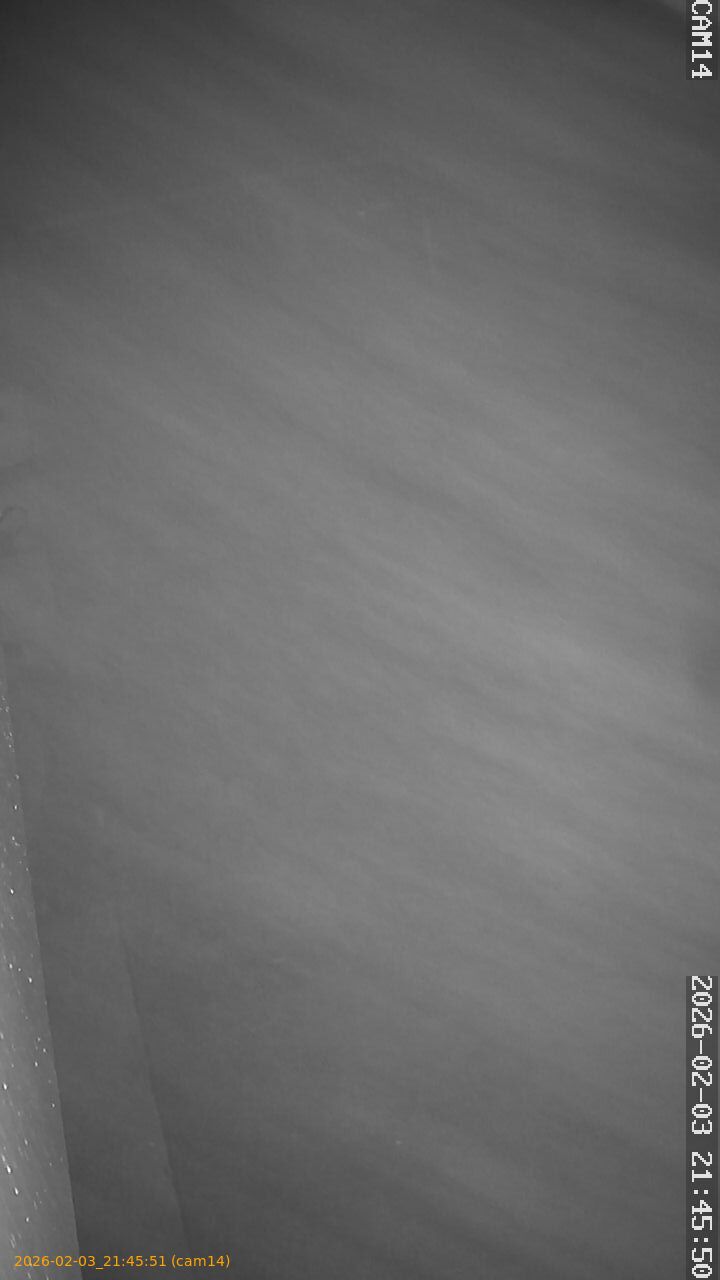 thumbnail_20260203214551