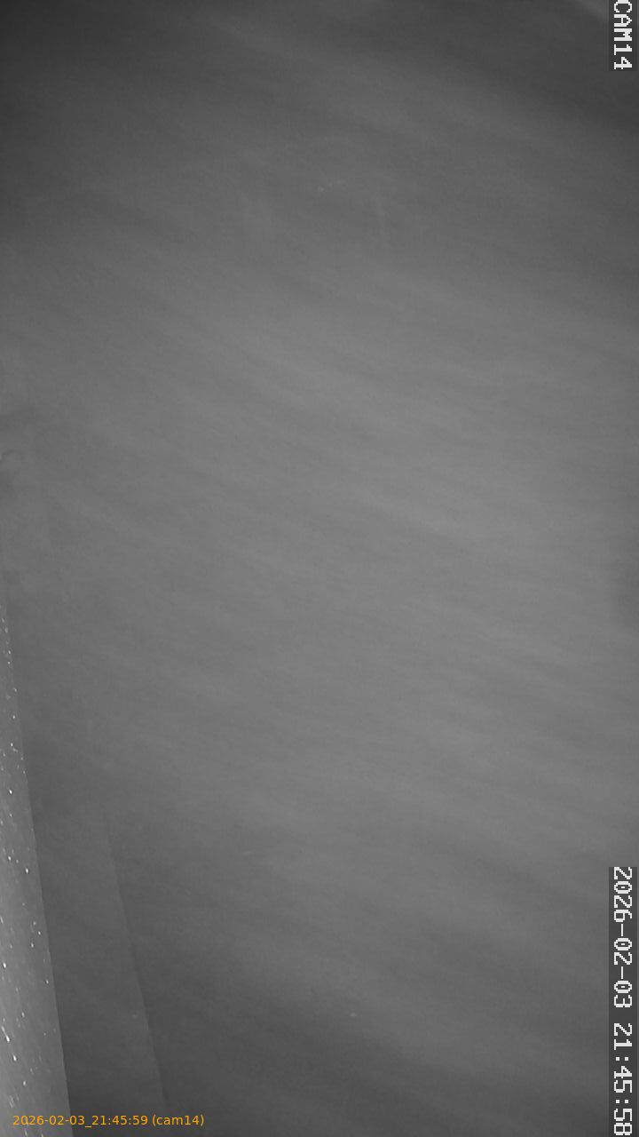 thumbnail_20260203214559