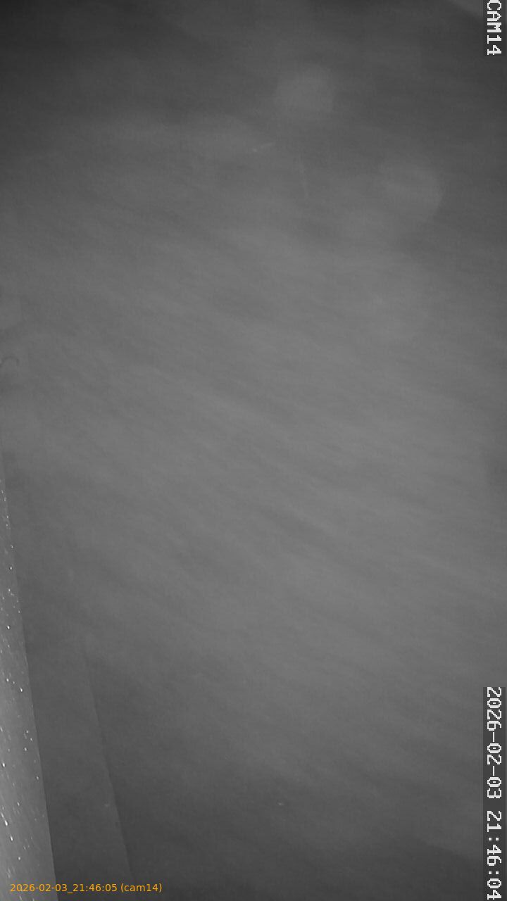 thumbnail_20260203214605