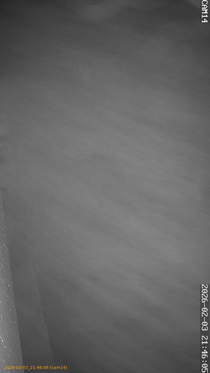 thumbnail_20260203214606