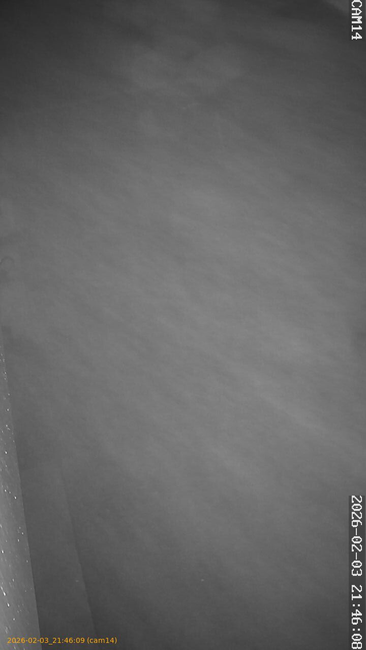 thumbnail_20260203214609