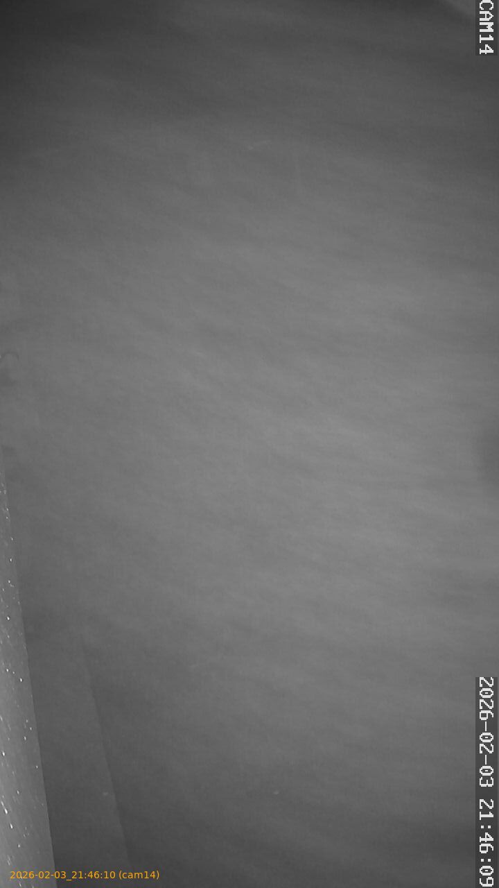 thumbnail_20260203214610