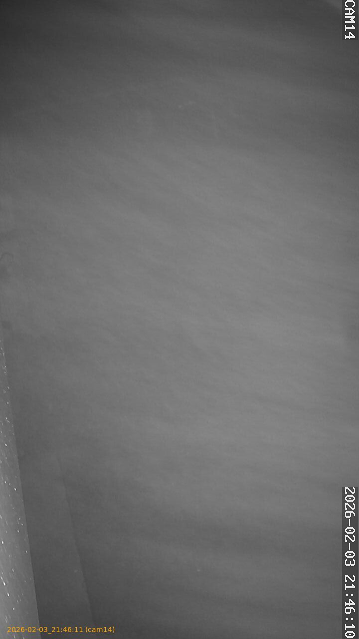 thumbnail_20260203214611