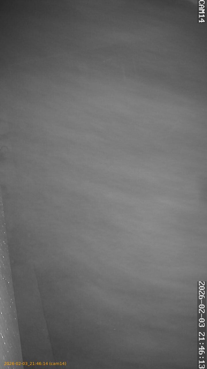 thumbnail_20260203214614