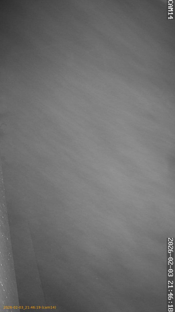 thumbnail_20260203214619