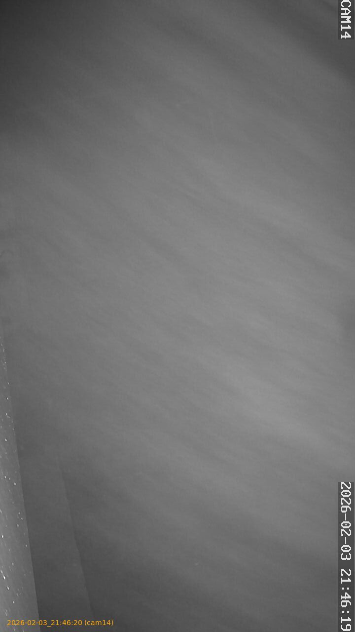 thumbnail_20260203214620