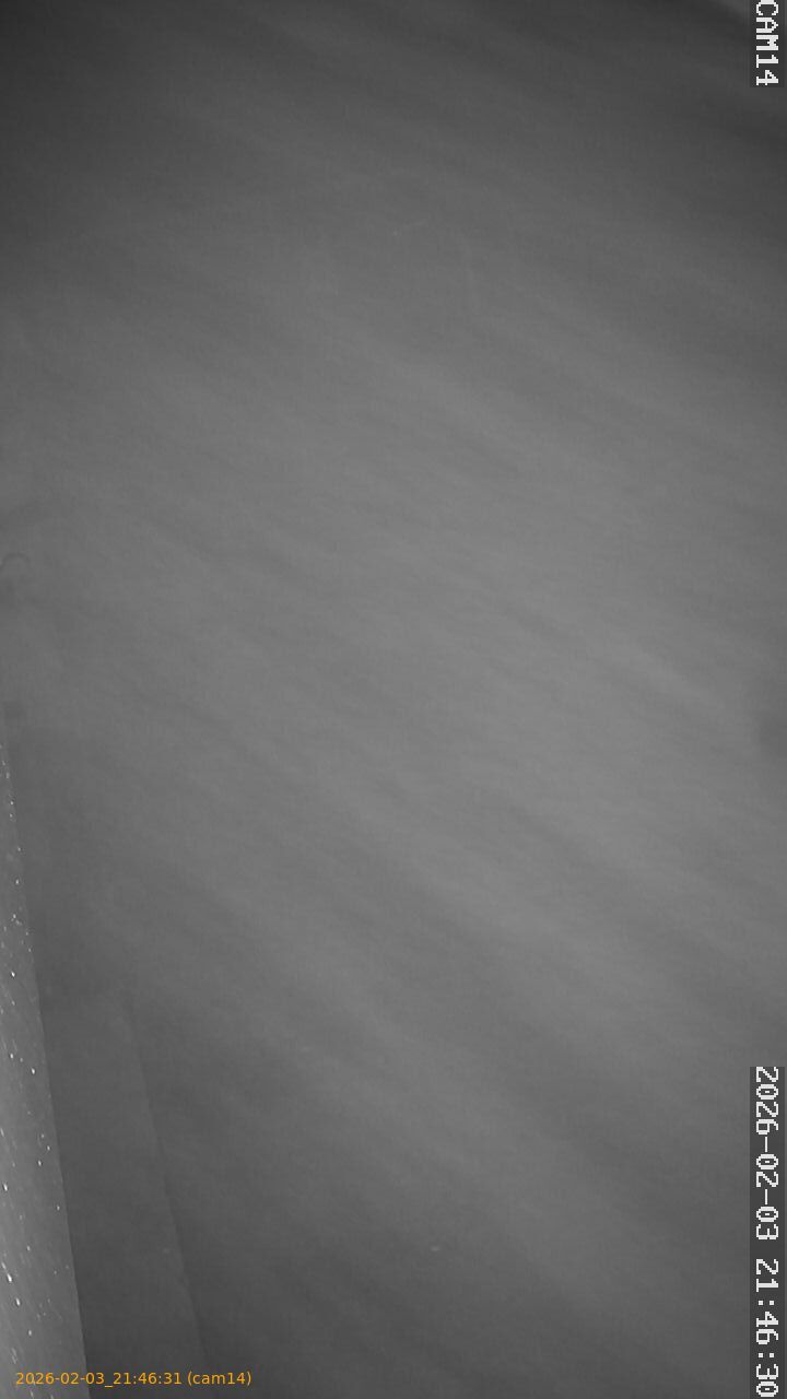 thumbnail_20260203214631