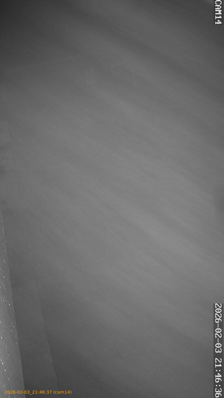 thumbnail_20260203214637