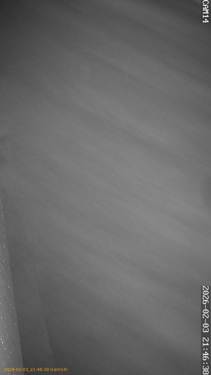 thumbnail_20260203214639