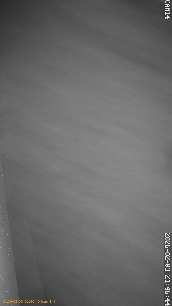 thumbnail_20260203214645