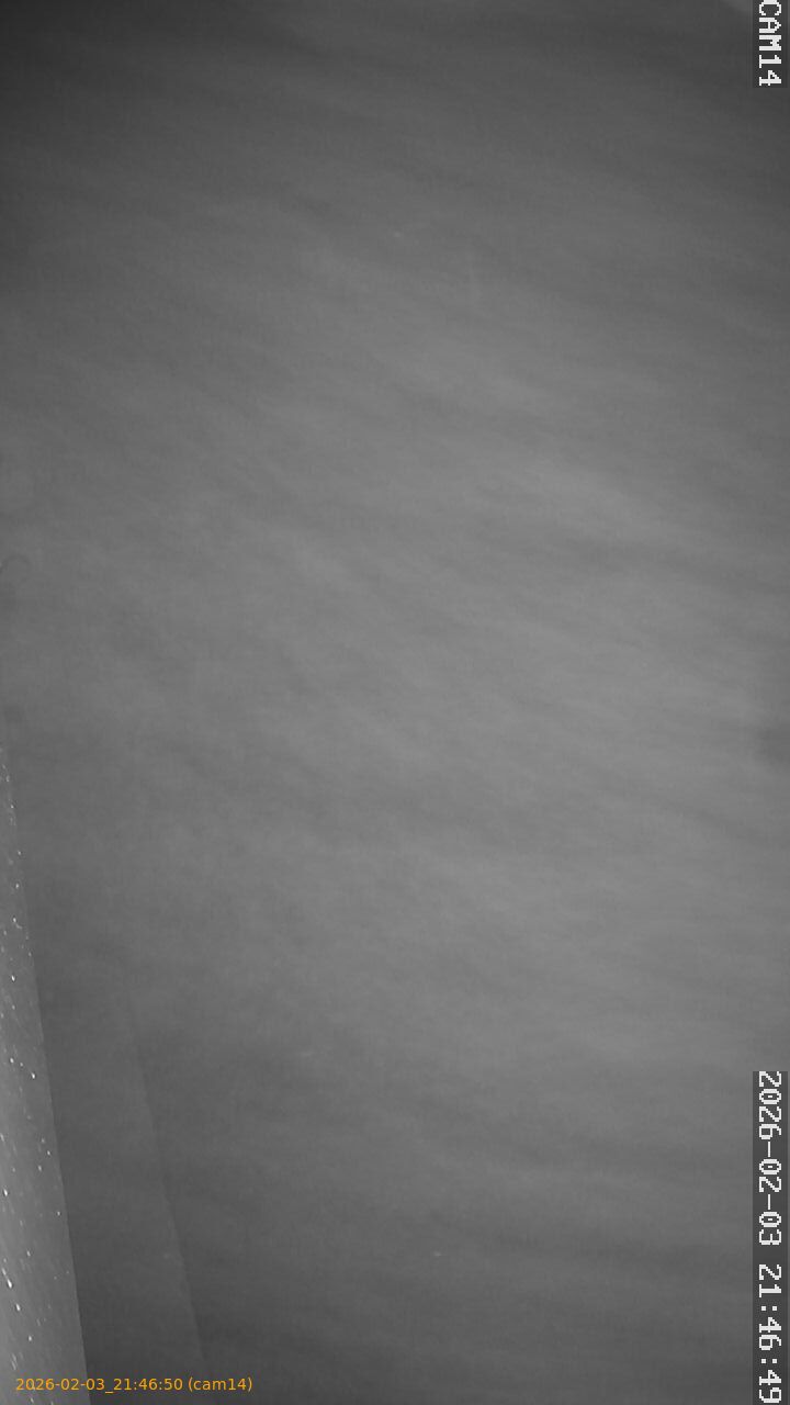 thumbnail_20260203214650