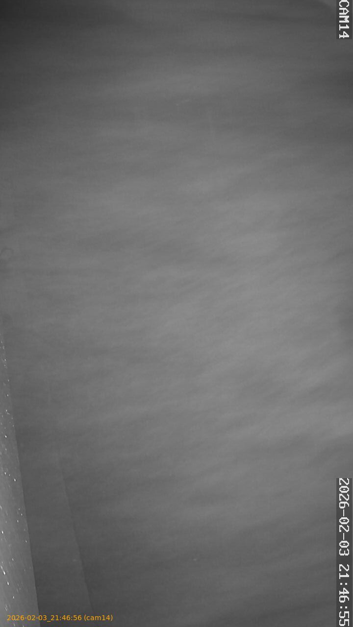 thumbnail_20260203214656