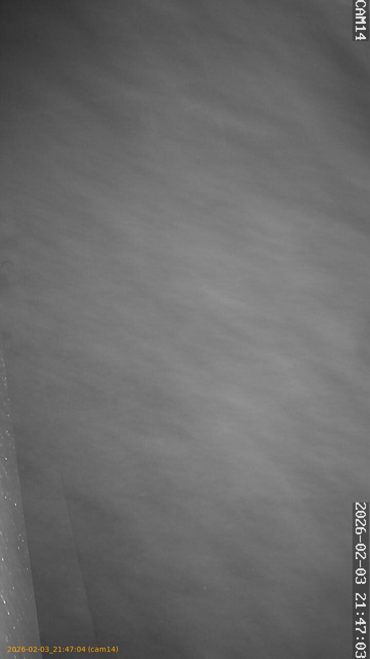 thumbnail_20260203214704