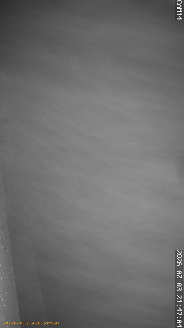 thumbnail_20260203214705